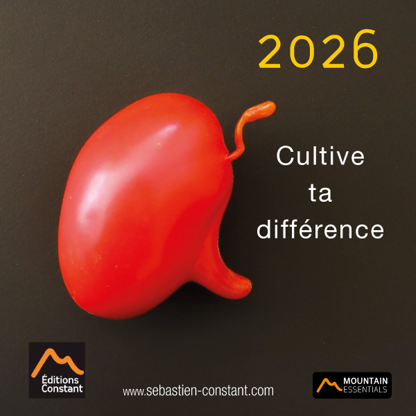 voeux-2026-greeting-wunsche